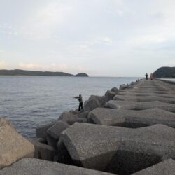 加太大波止でハマチ
