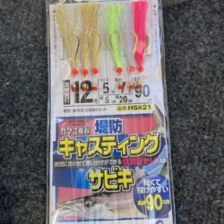 朝のカマス調査で29匹GET