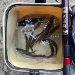 ランガンで引き当てた20cm超！タフコンア…