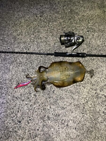 しまなみで釣り