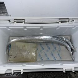 タチウオ釣り