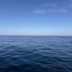 アマダイ釣り