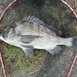イチノ兄弟、釣果！