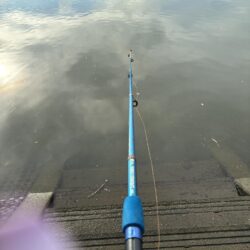 ハゼ釣り
