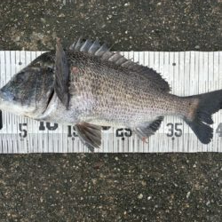 イチノ兄弟、釣果！