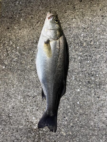 一投