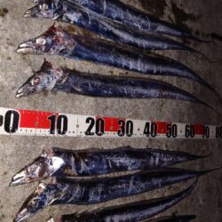 引き釣り 5