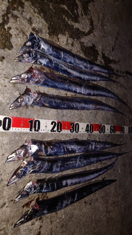 引き釣り 5