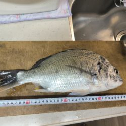 魚種豊富な六甲マリンパーク