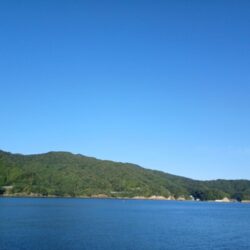 アオリイカ秋エギング調査
