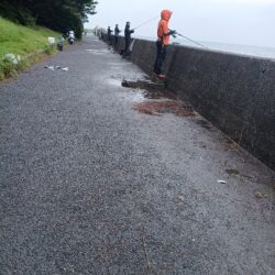 相変わらず混んでます