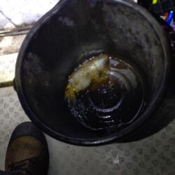 小潮爆風ティップラン