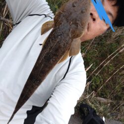 メッキとマゴチが釣れました!