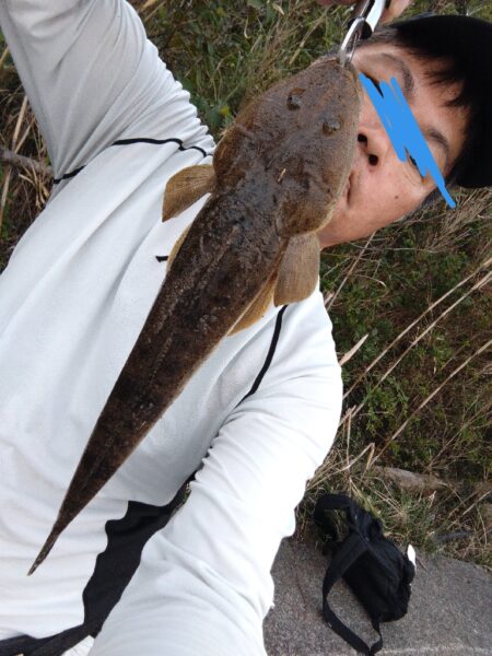 メッキとマゴチが釣れました!