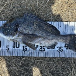 イチノ兄弟、釣果!