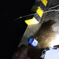 淡路島でぶっこみ釣り好調！