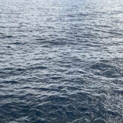 佐渡ヶ島エギング Vol.27【10月12日】