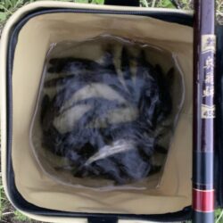 群れ鮎崩し炸裂！最下流域で28本のリベンジ…
