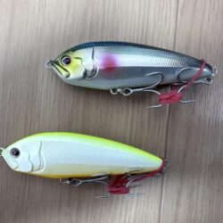 osp のツキヨミ122Fが大人気？