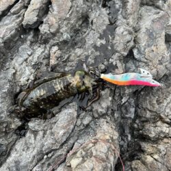 ぶっこみ最終