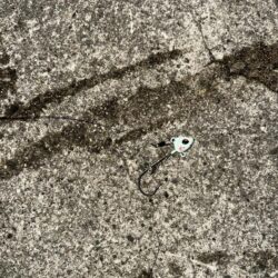 タチウオ釣り