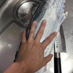 サワラ　85センチ