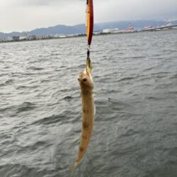 釣れました