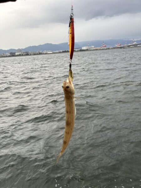 釣れました