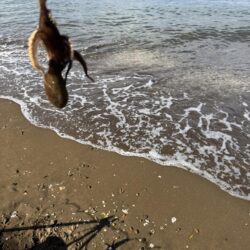 春以来のキス釣り！！