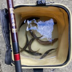 寒冷前線通過！タフコンアユイング (北茨城…