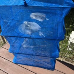 夜勤前に明日の夜のおかず釣り