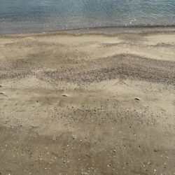キス釣り