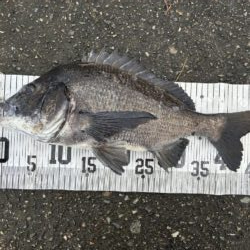 イチノ兄弟、釣果！