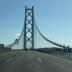 日中のただ巻きエギングで連続釣果！