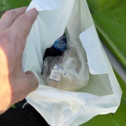 清掃活動：仕立てでタチジギ