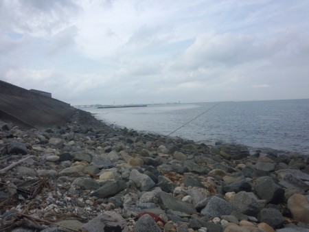 キス釣れたけど