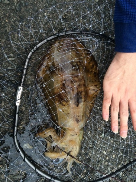雨が降って渋い中…