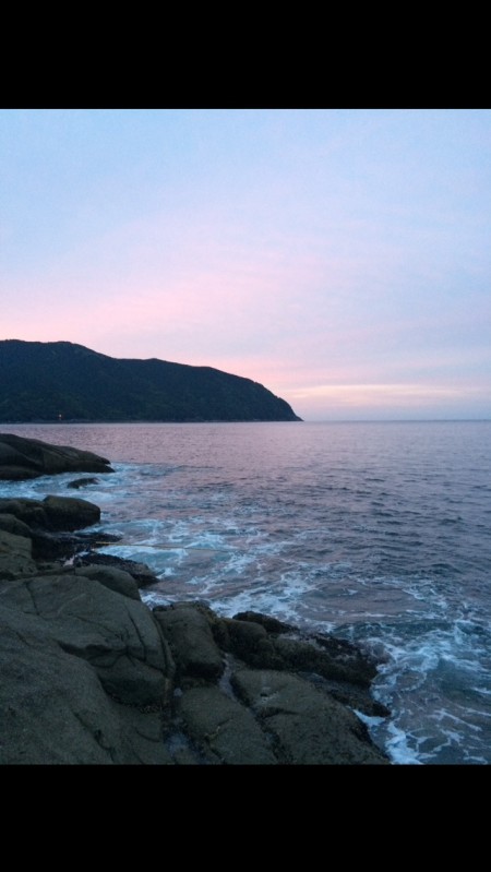 好調アオリイカ