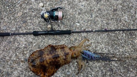 サイズはでなかつたが！