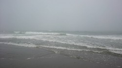 フラットフィッシュ中々釣れない