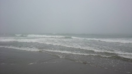 フラットフィッシュ中々釣れない