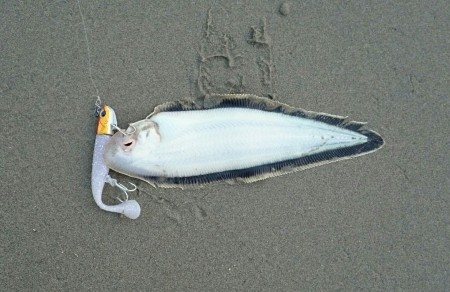 痛恨のバラし２回