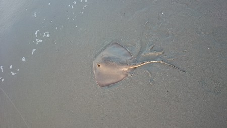 １バイトと外道