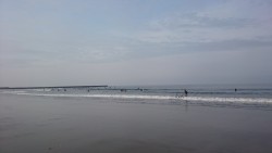 １バイトと外道