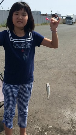 サッパが釣りたくて…