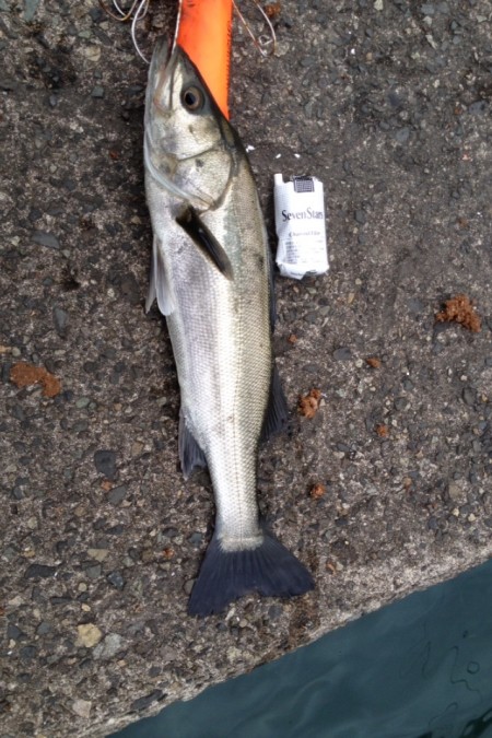 繊細なバイトに四苦八苦