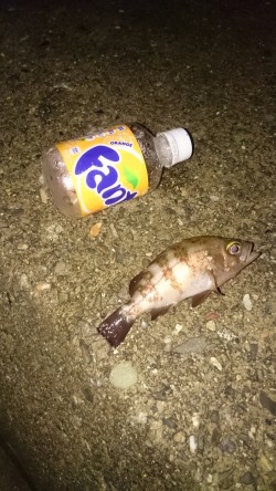 夏休みの旅行先にて