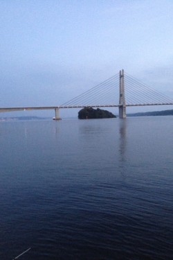 のんびり紀州釣り