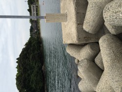 夕マズメアジング