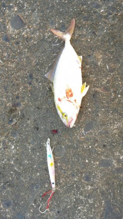 三国突提にて！！